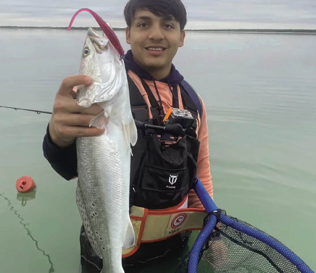 speckled sea trout caught on soft plastic